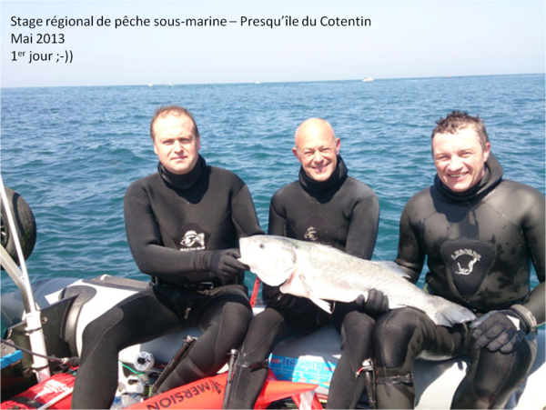 Stage régional de pêche sous-marine - Presqu'île du Cotentin